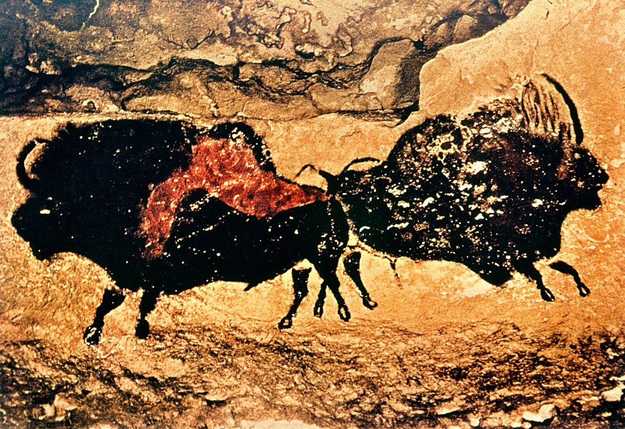 世界遺産】洞窟壁画アルデッシュショーヴェ・ポンダルクとは